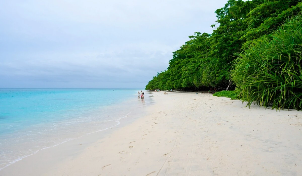 White sand beach and turquoise water at Radhanagar Beach Andaman Islands during February
