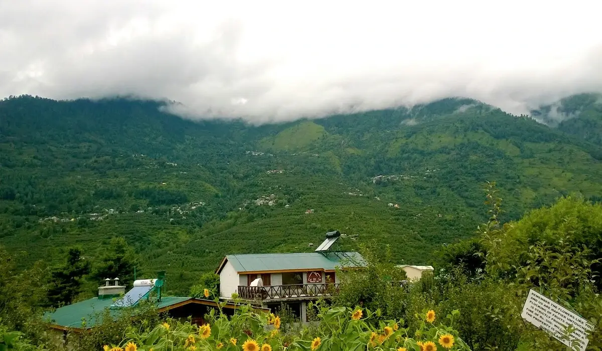 Cosy guesthouse with mountain view in Old Manali Himachal Pradesh