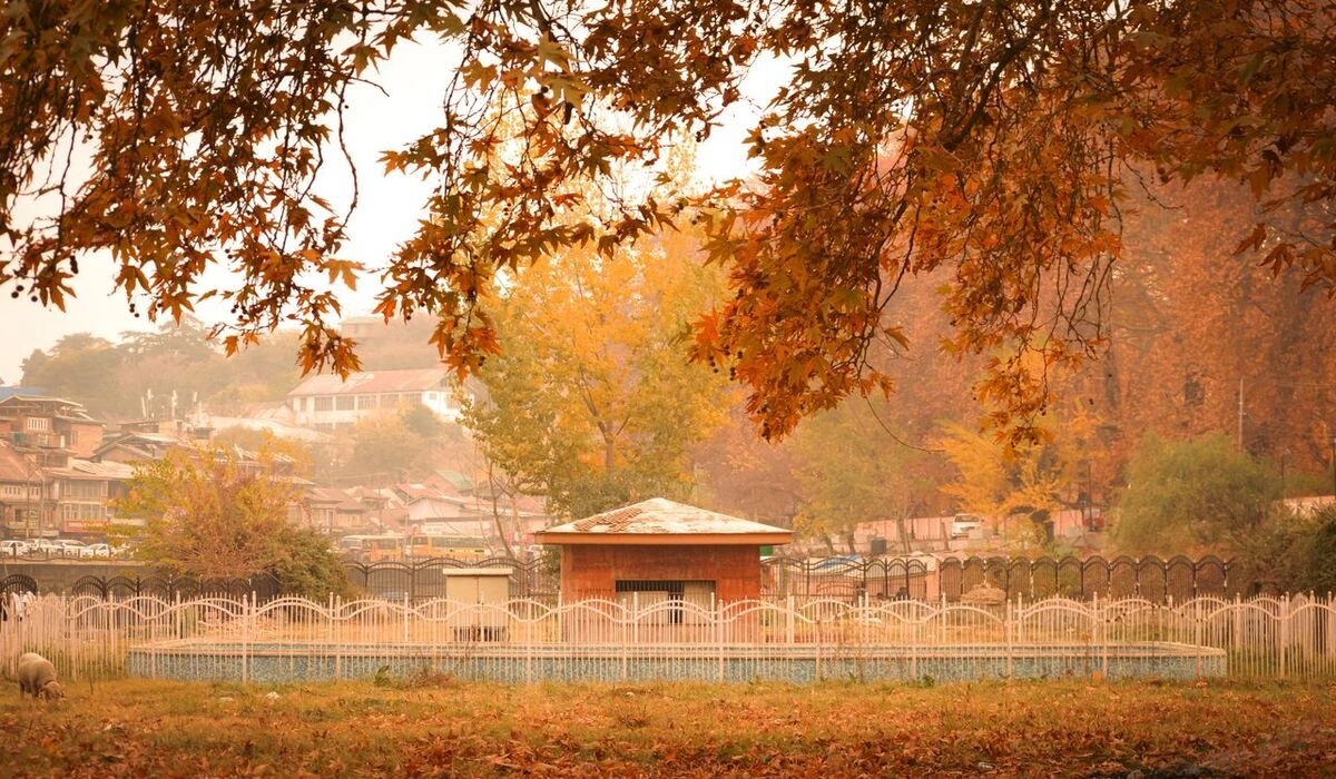 Kashmir Valley in September with golden chinar trees Dal Lake and Himalayan peaks
